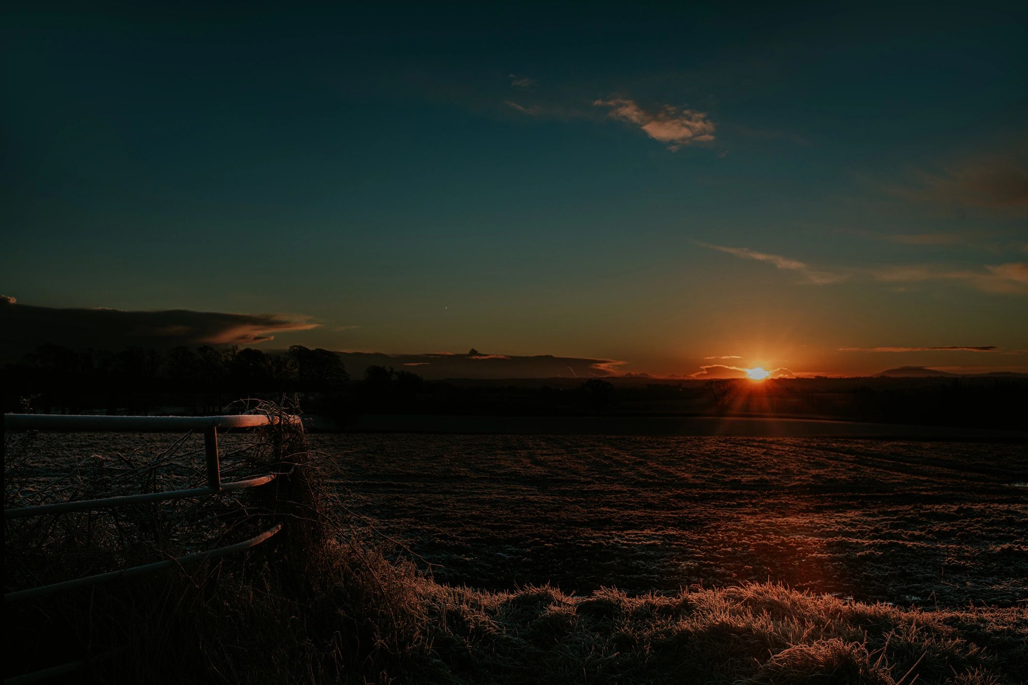 Sunrise over a quiet field symbolizing hope and healing