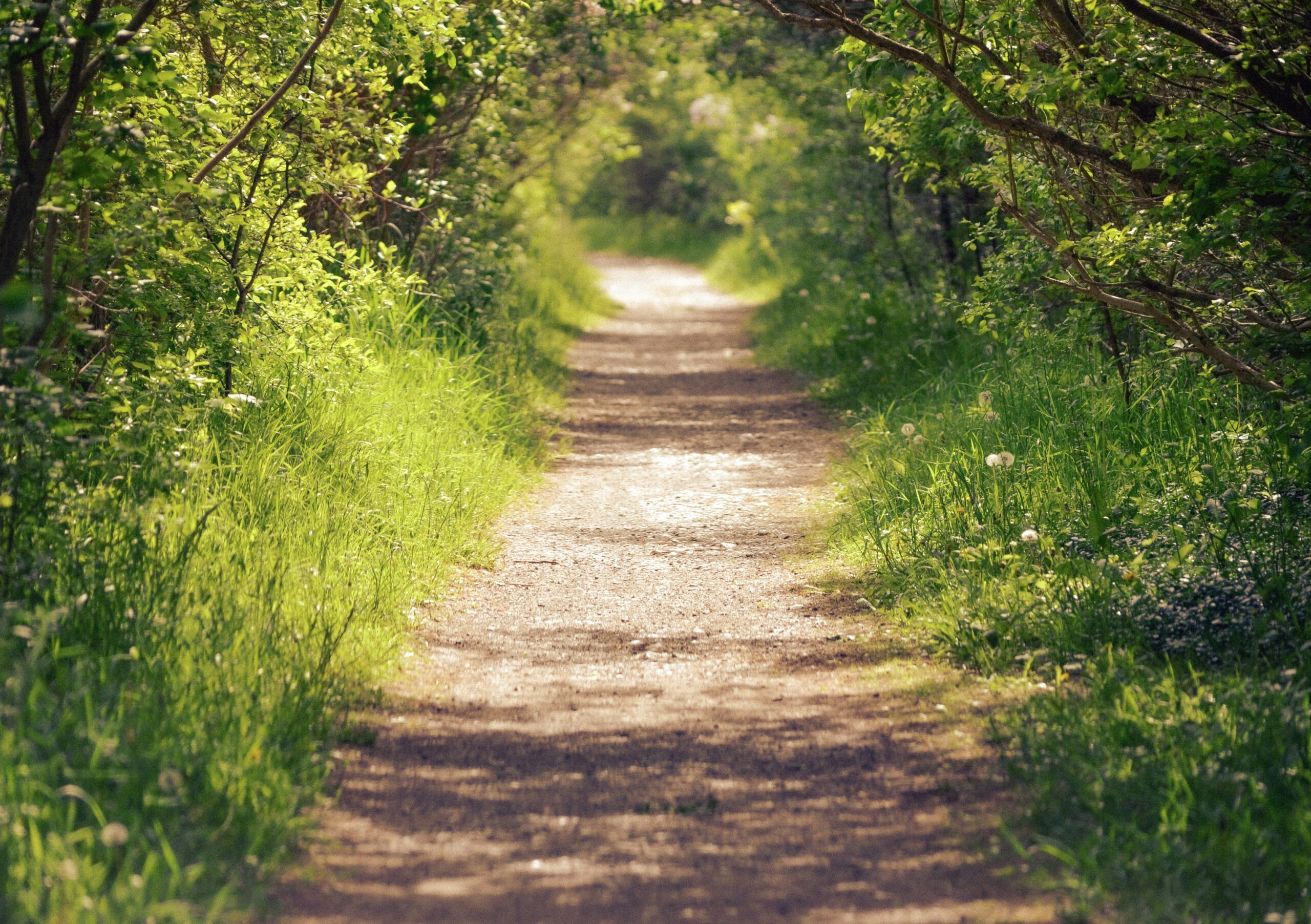 Can therapy help me be a better Christian and more Holy Spirit-led?